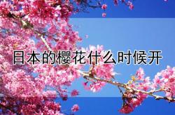 日本的樱花什么时候开什么时候落,日本的樱花什么时候开