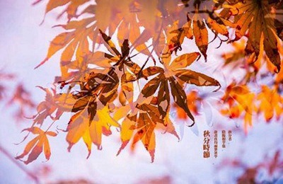 秋分是中国什么节？秋分是什么时候开始的？